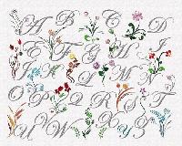 Abcdaire Fleurs Sauvages, kit broderie traditionnelle Princesse