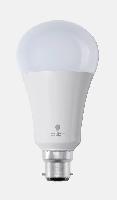 Ampoule LED 15 Watt à baïonnette B22 Daylight / Ref D15501 