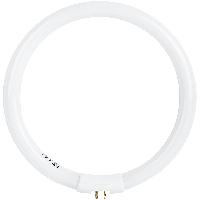 Tube circulaire 12 watt pour lampe loupe Prym / Ref 610714